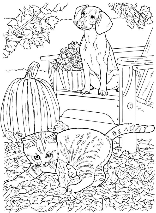 Creative haven loveable cats dogs coloring book free printable page cat coloring page dog coloring page animal coloring pages