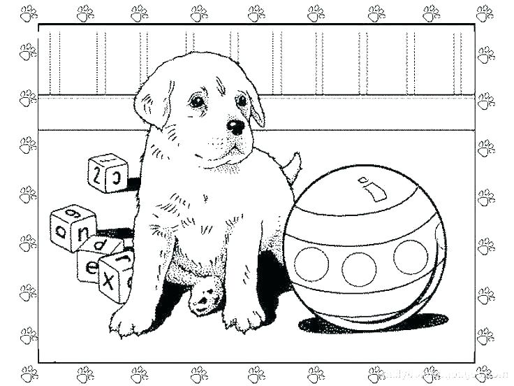 Pets coloring pages