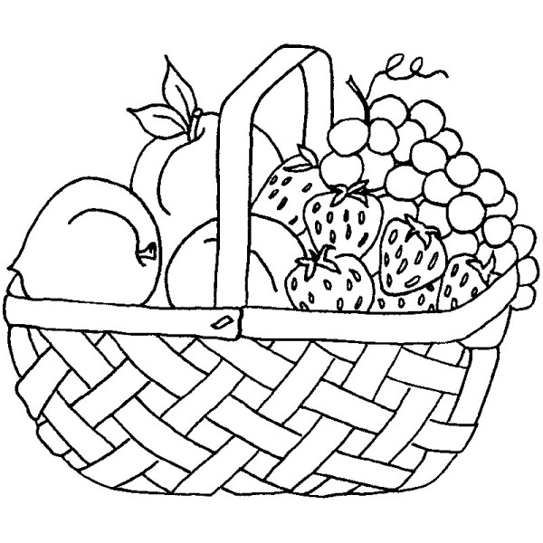 F fruit basket purple daisy design purple daisy design