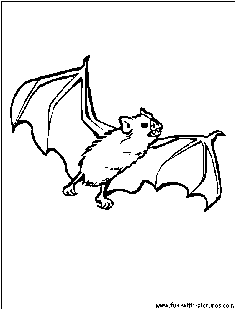 Bat coloring page