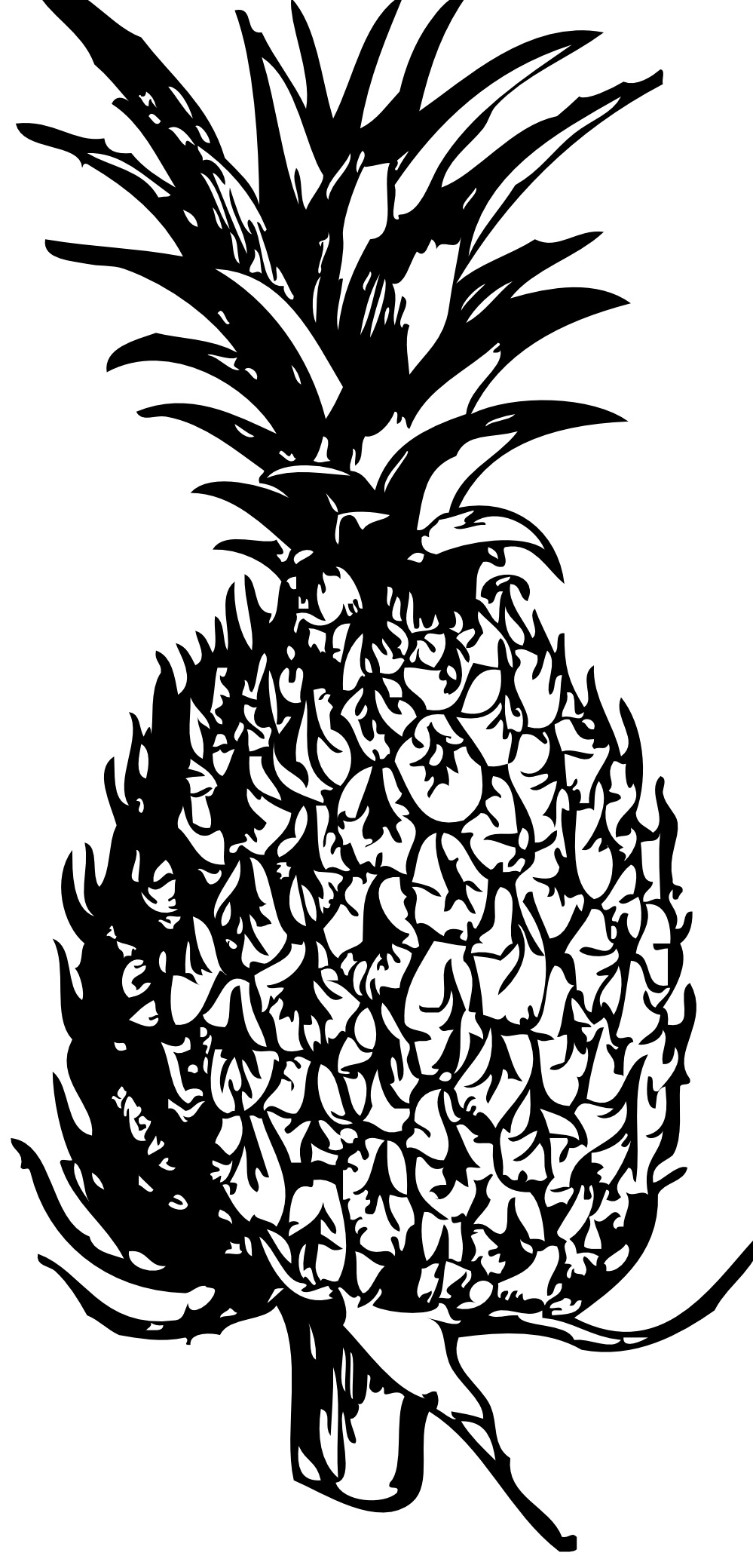 Free printable pineapple coloring pages for kids
