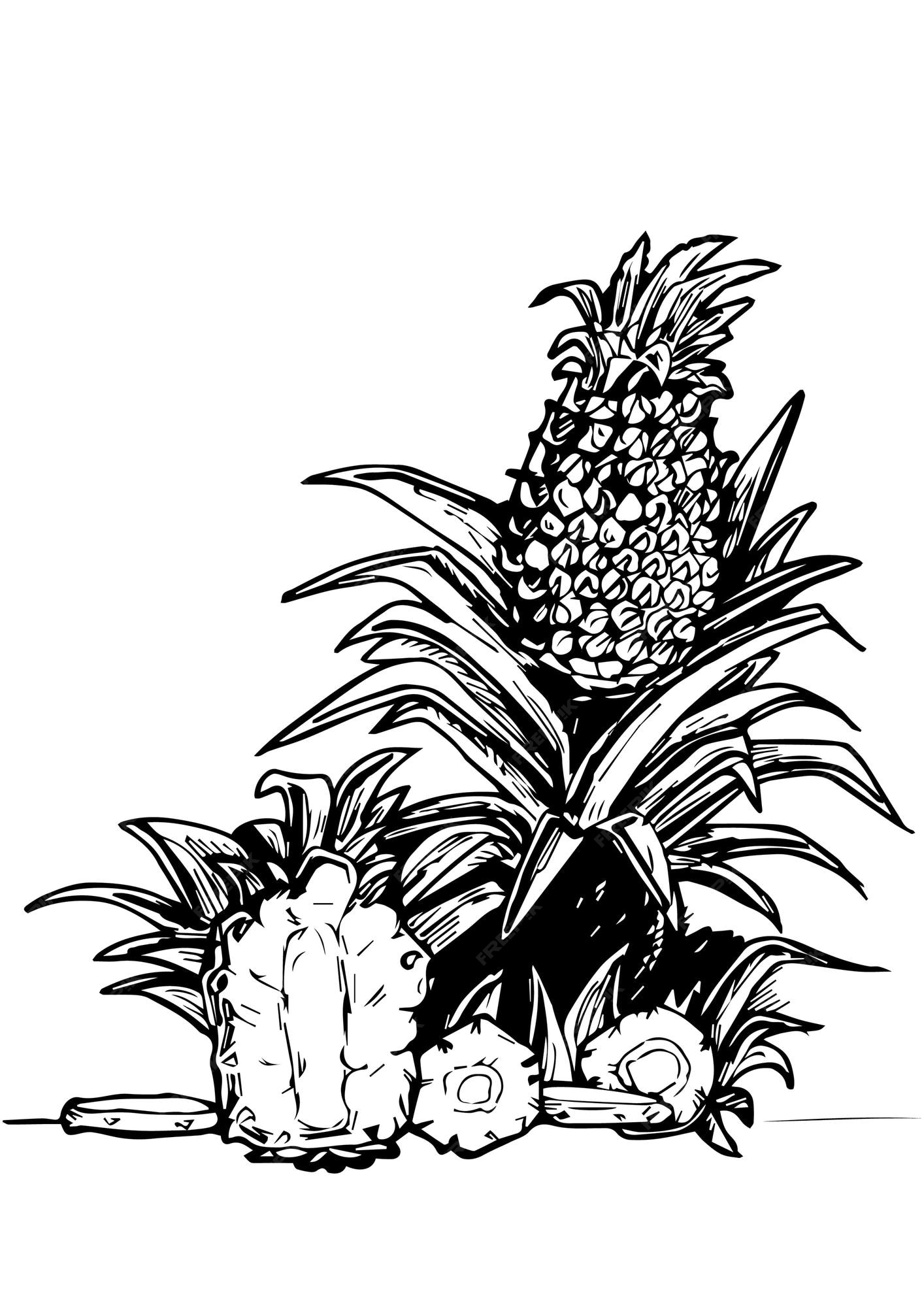 Premium vector printable pineapple vector coloring pages for kids
