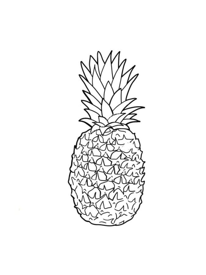 Pineapple free printable coloring page