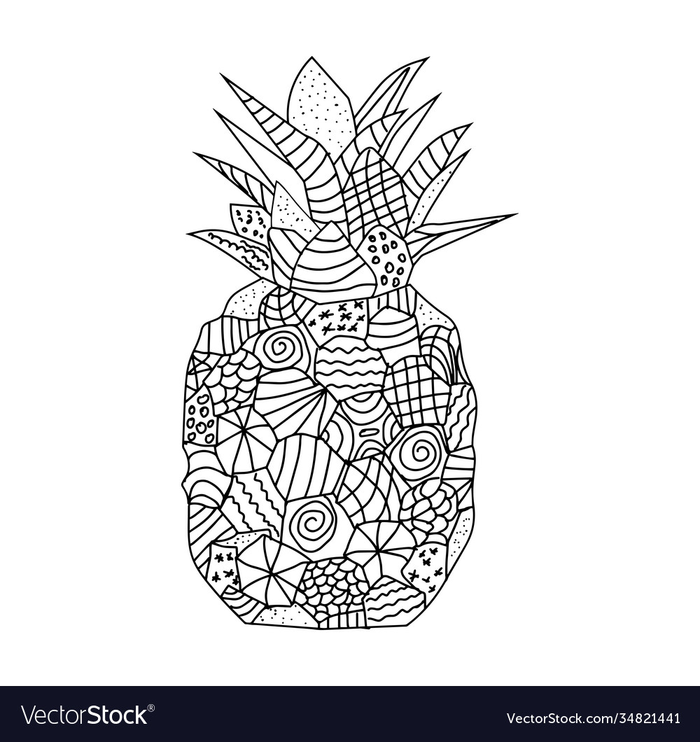 Pineapple coloring page royalty free vector image