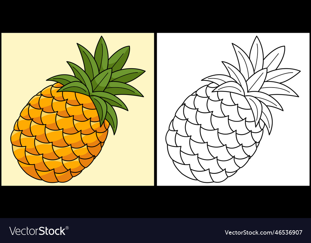 Pineapple fruit coloring page colored royalty free vector