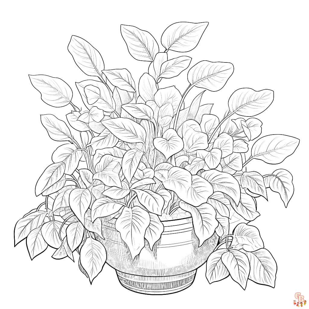 Printable plant coloring pages free for kids and adults