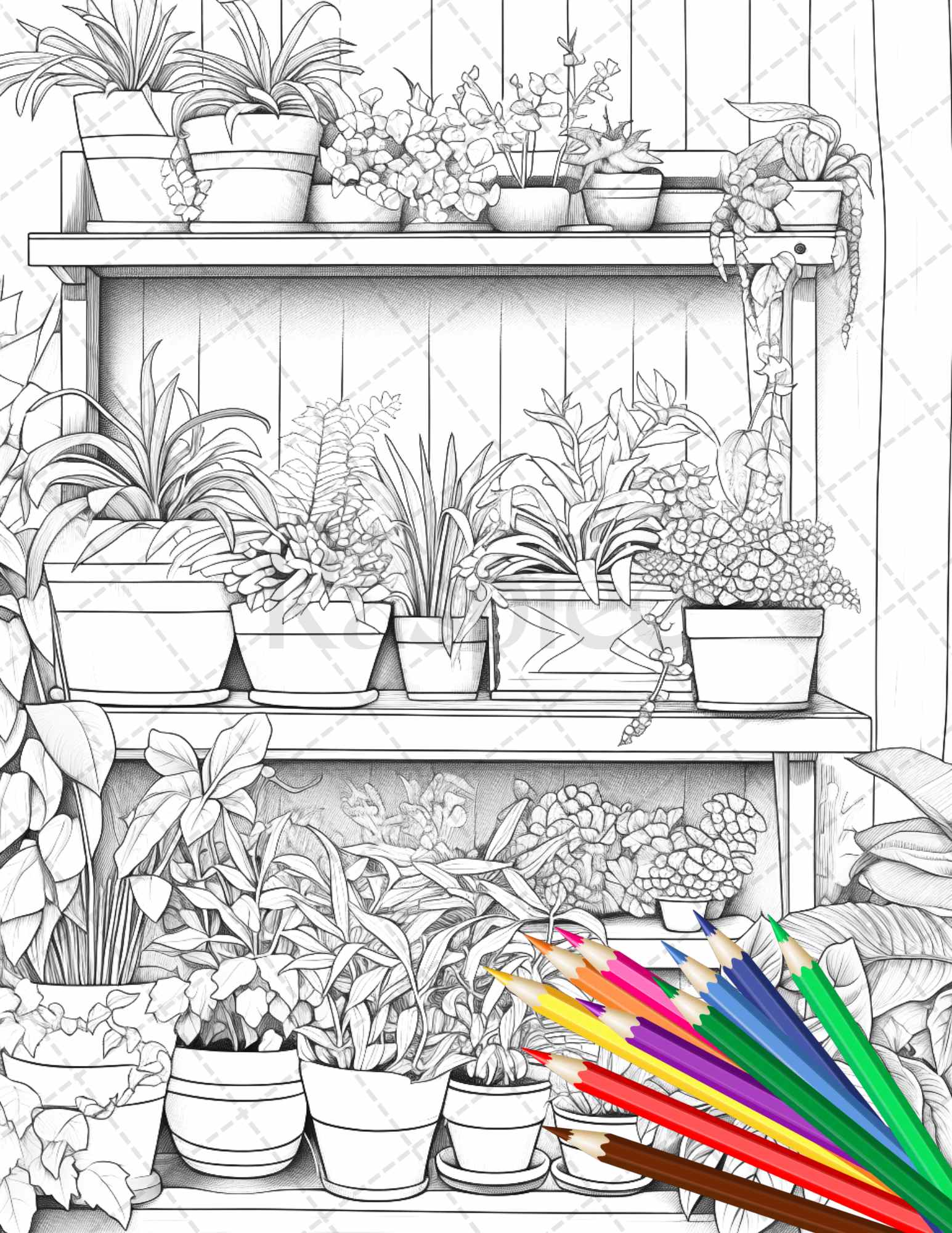 Indoor houseplants coloring pages printable for adults grayscale c â coloring