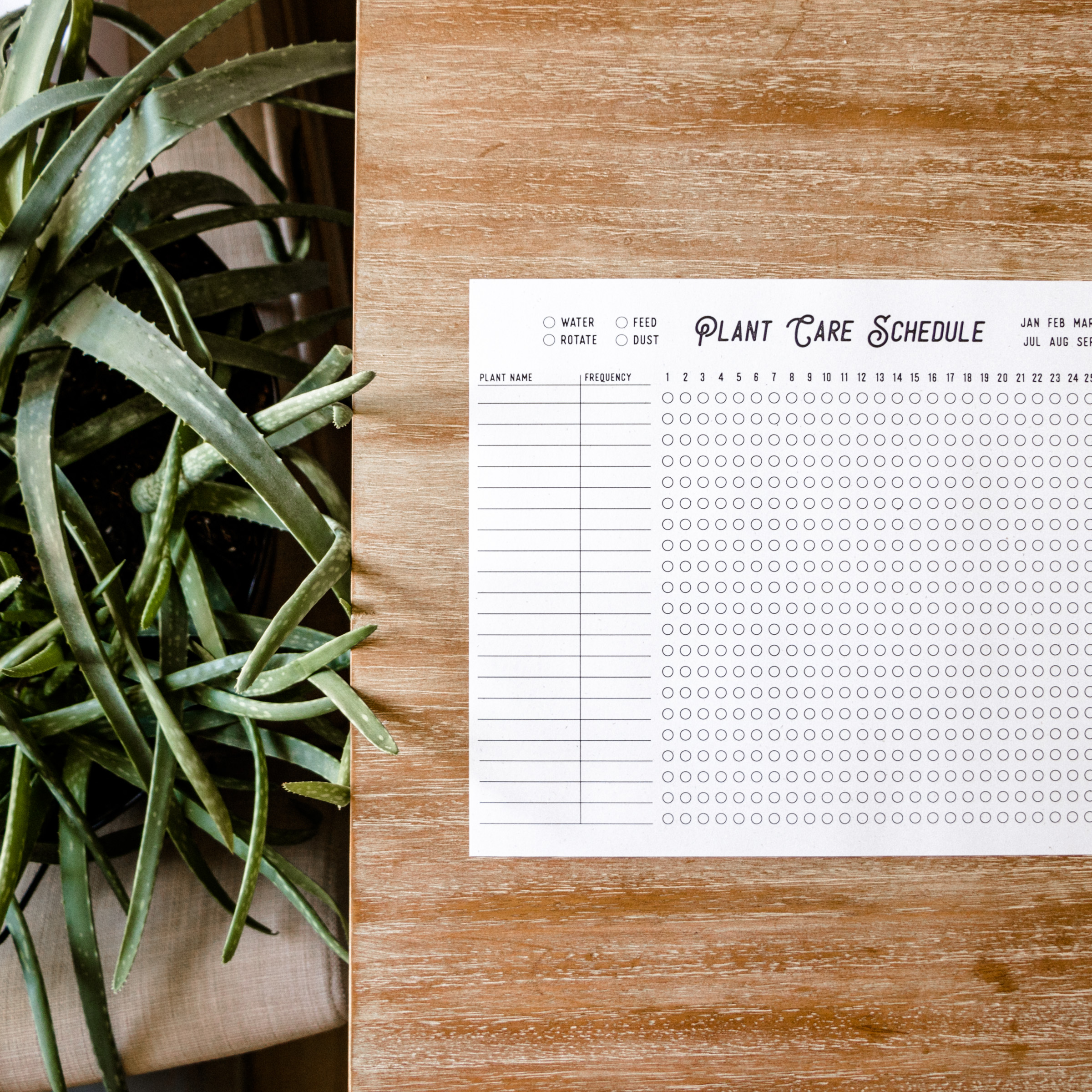 Plant watering schedule free printable