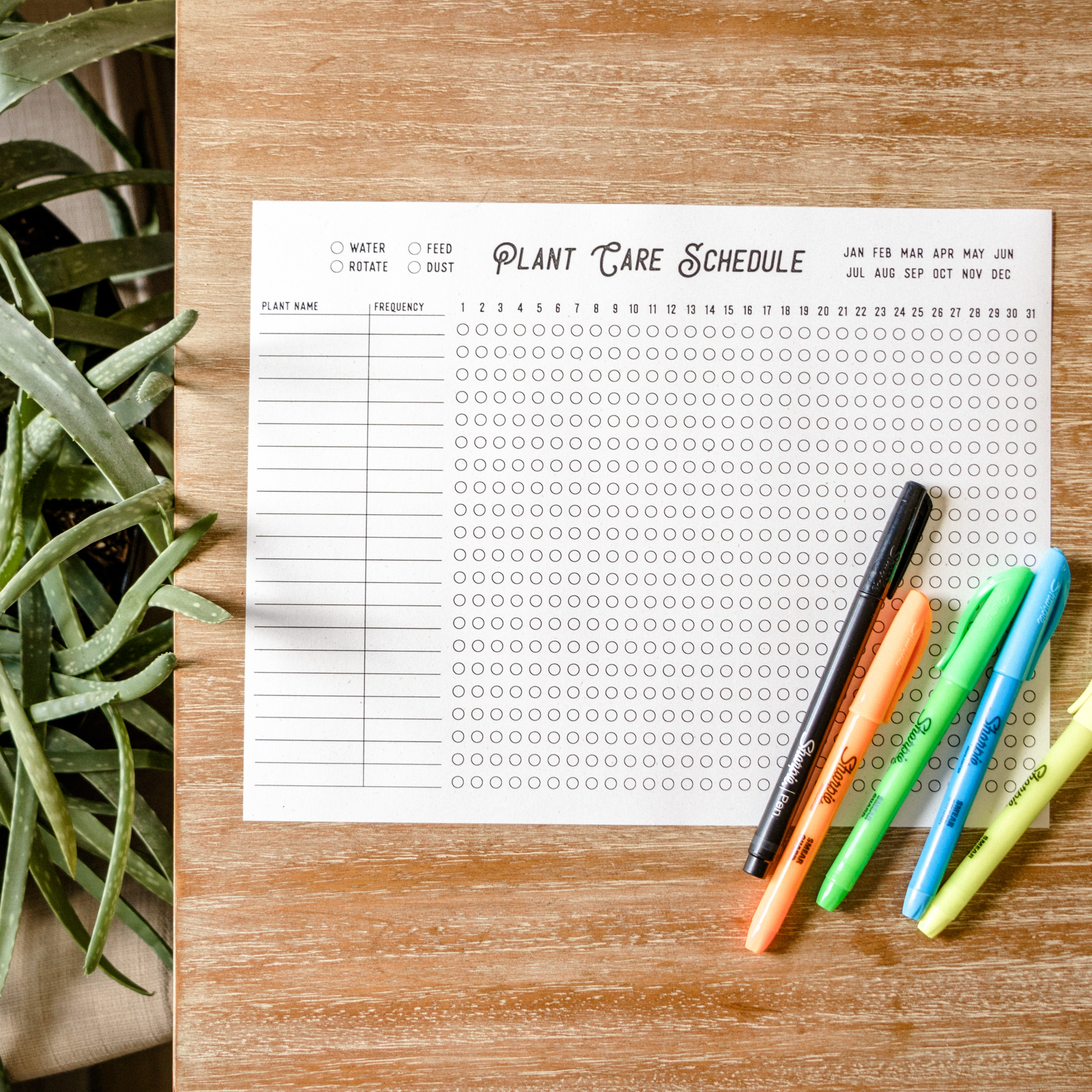 Plant watering schedule free printable