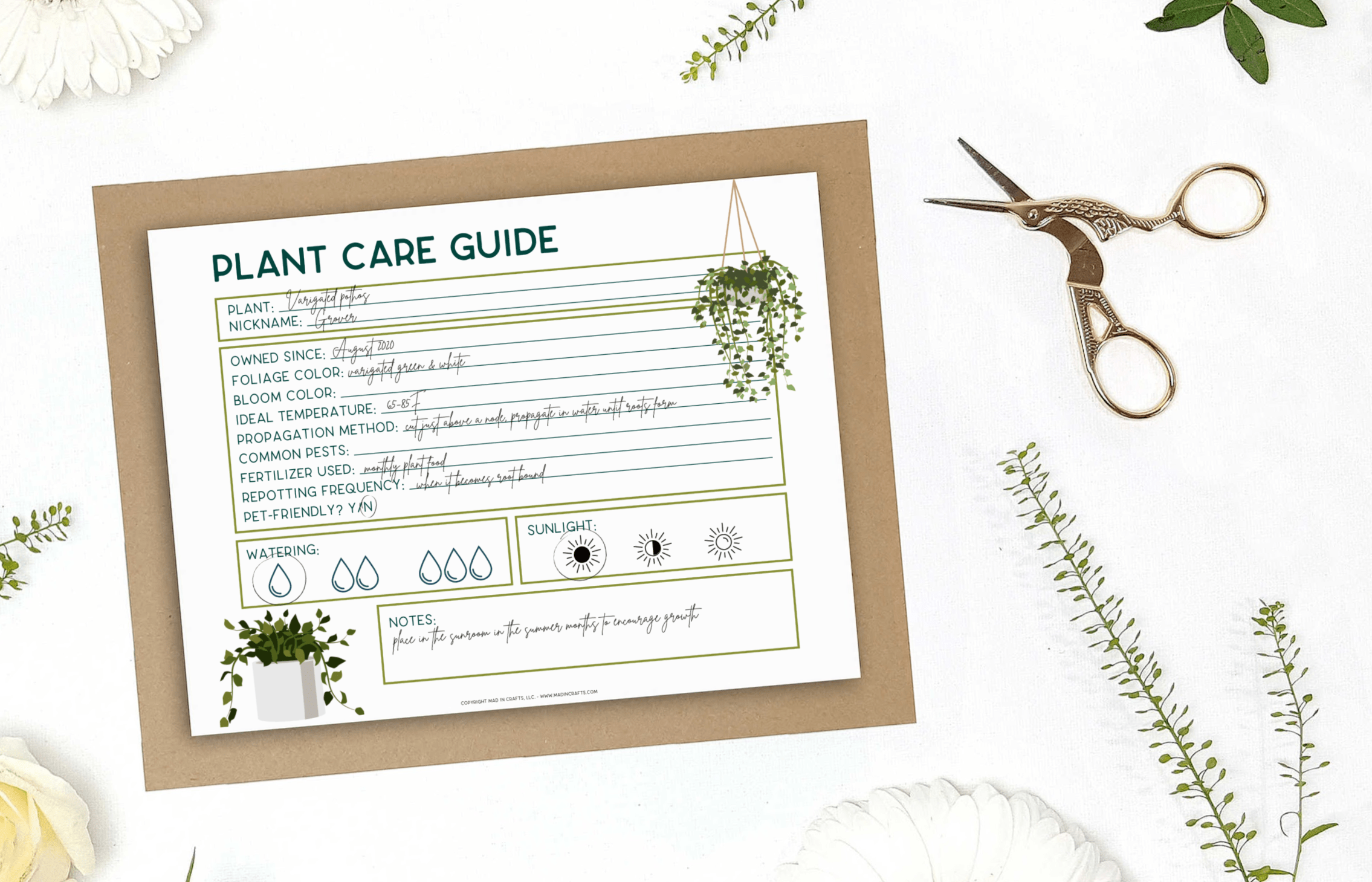 Free printable plant care guide crafts mad in crafts