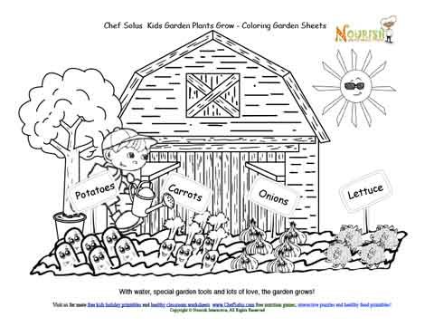 Chef solus kids garden story