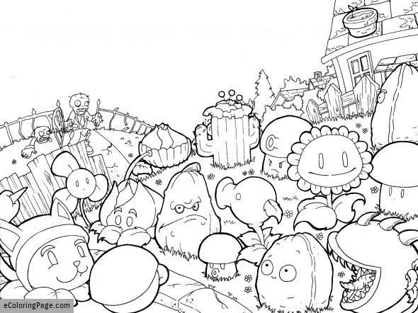 Plants