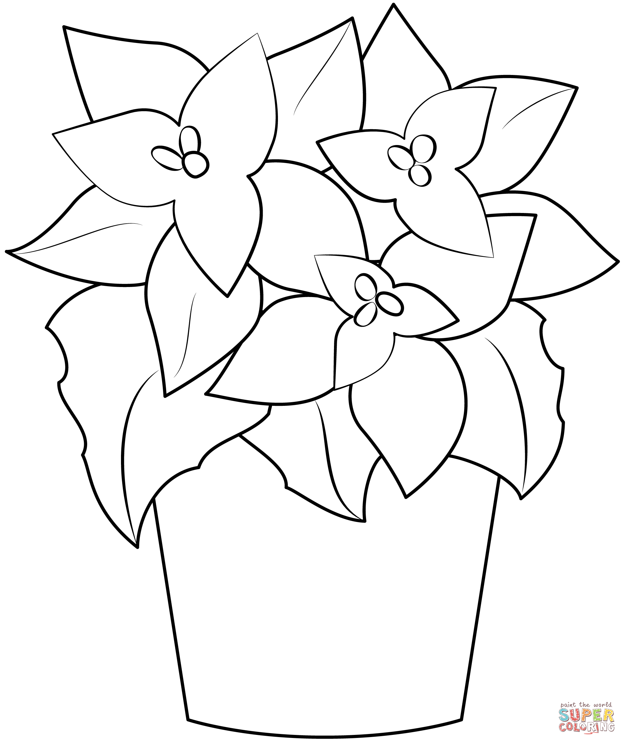 Poinsettia coloring page free printable coloring pages