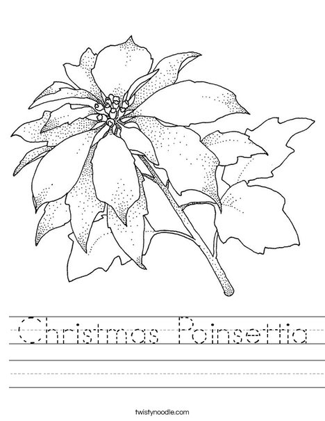 Christmas poinsettia worksheet