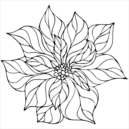 Poinsettia flower christmas star vector element christmas coloring book stock illustration