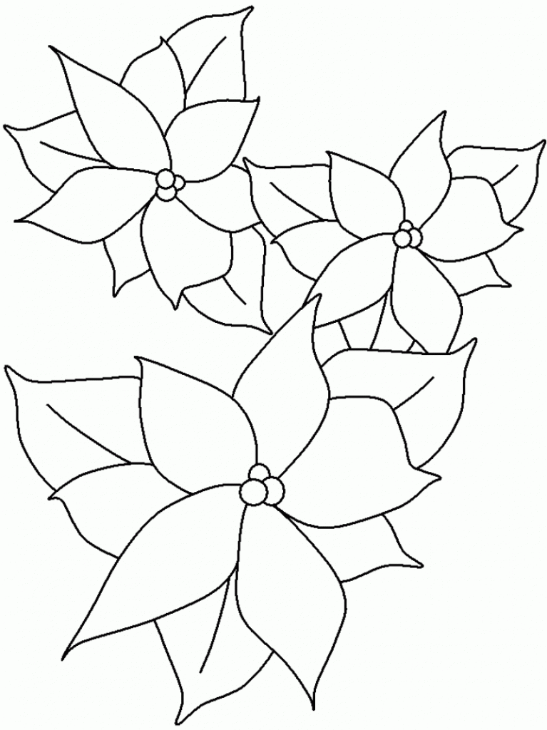 Free printable poinsettia coloring pages for kids