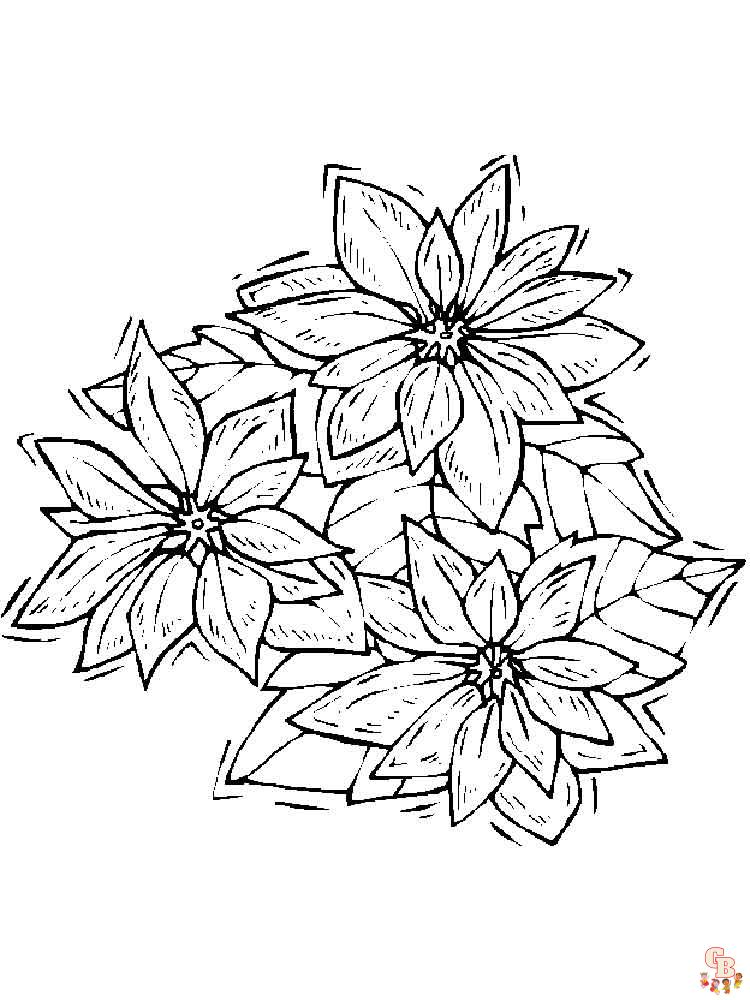 Get festive with poinsettia coloring pages