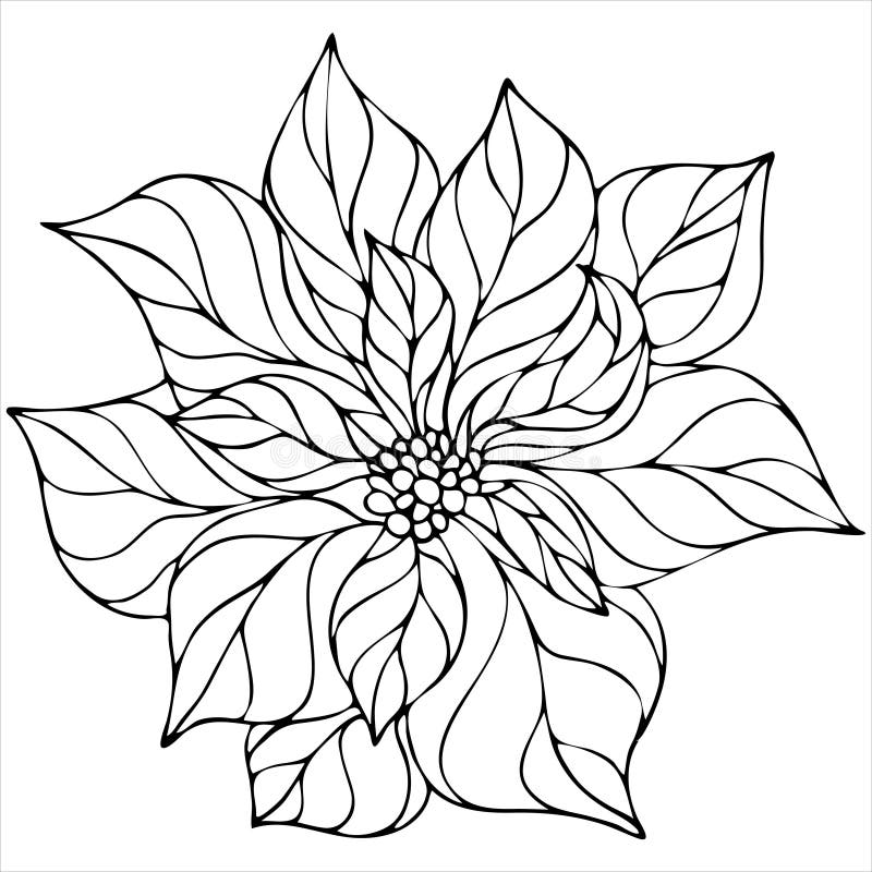 Poinsettia coloring stock illustrations â poinsettia coloring stock illustrations vectors clipart