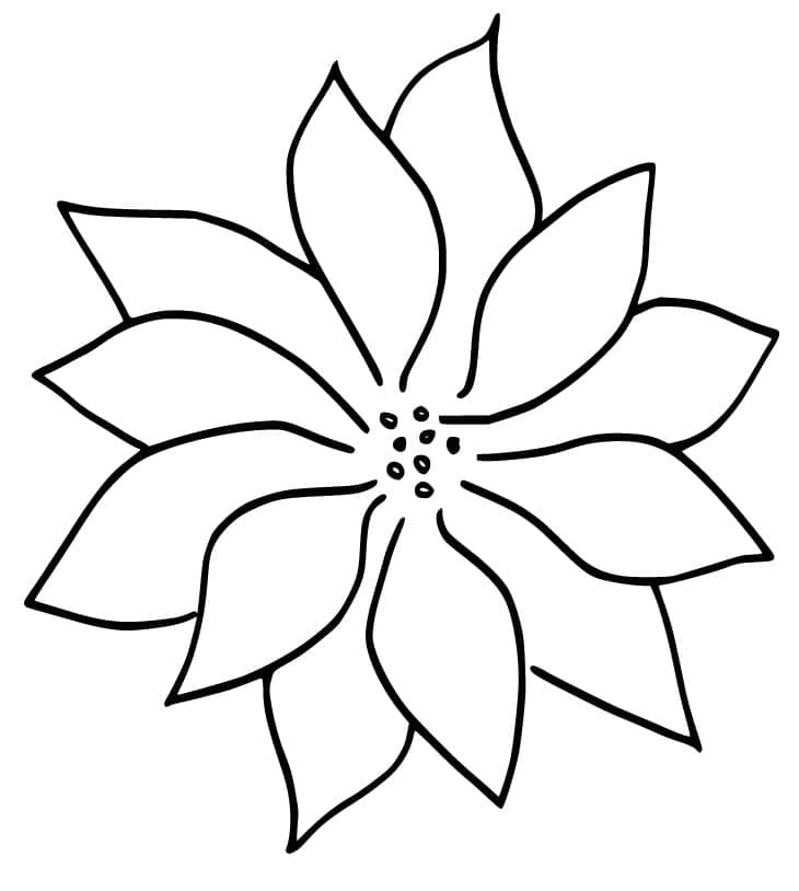 Poinsettia coloring pages
