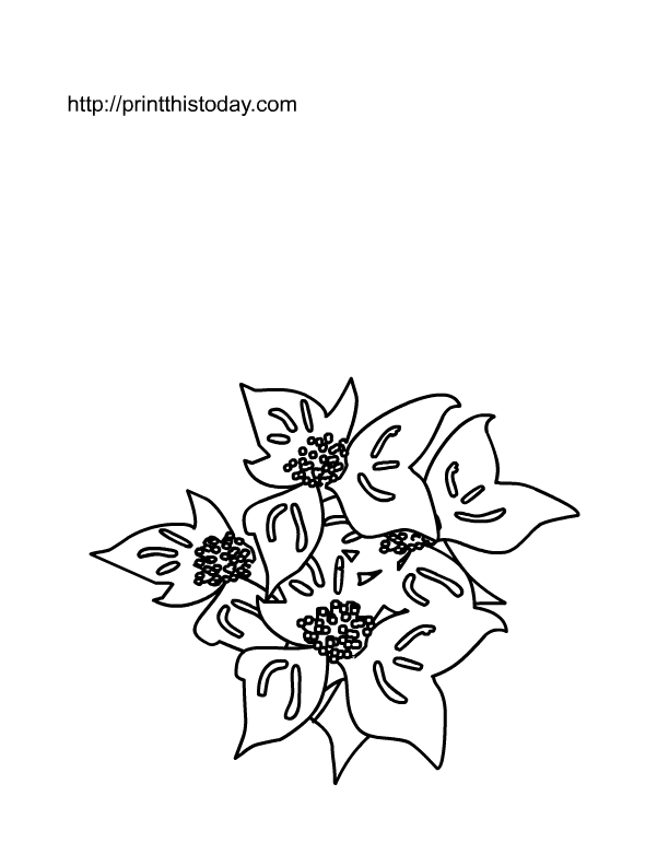Free printable spring flowers coloring pages