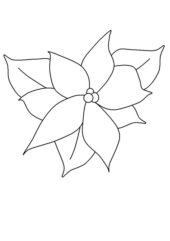Coloring pages printable poinsettias coloring pages for kids