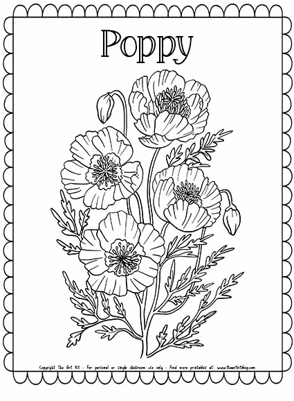 Poppy flower coloring page free homeschool deals