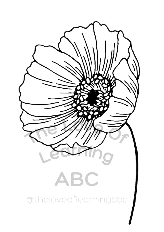 Poppy colouring page remembrance day veterans day coloring page download now