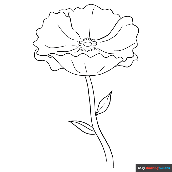 Poppy coloring page easy drawing guides