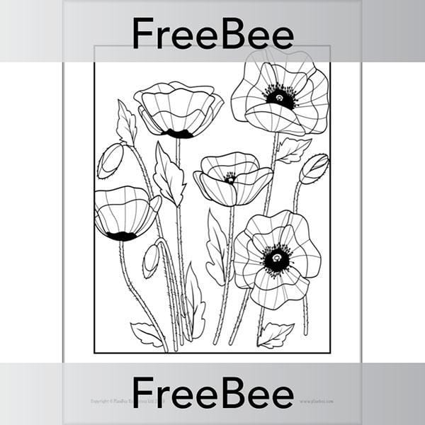 Free poppies colouring pages by