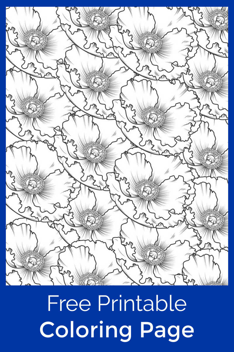 Free printable poppy coloring page
