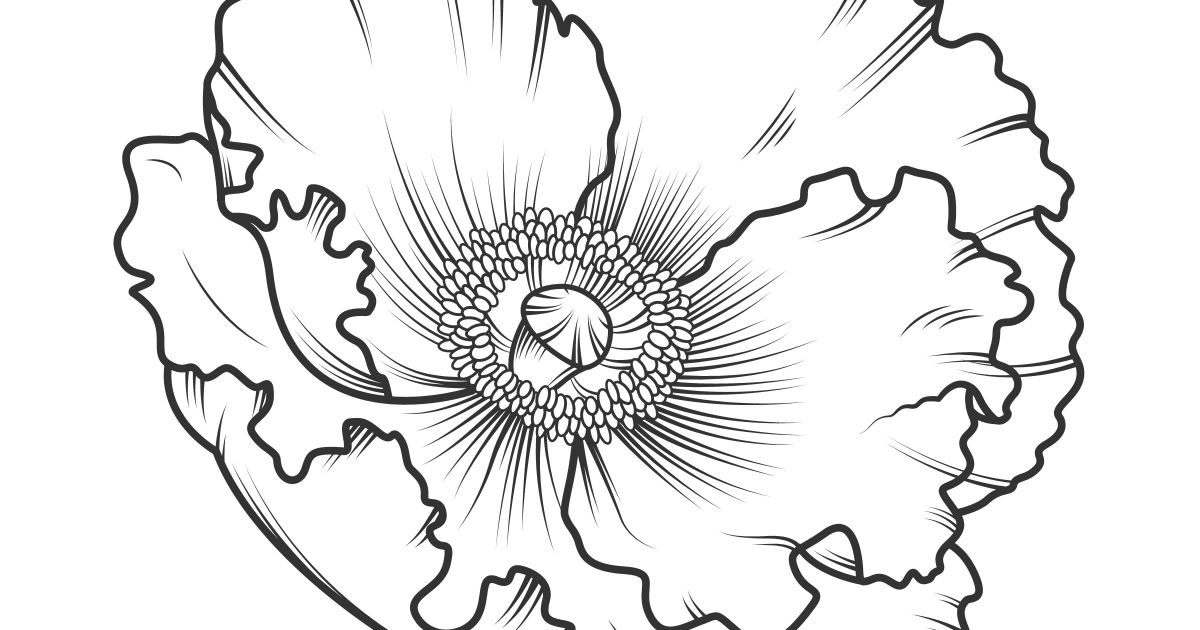 Free printable california poppy coloring page