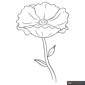 Poppy coloring page easy drawing guides
