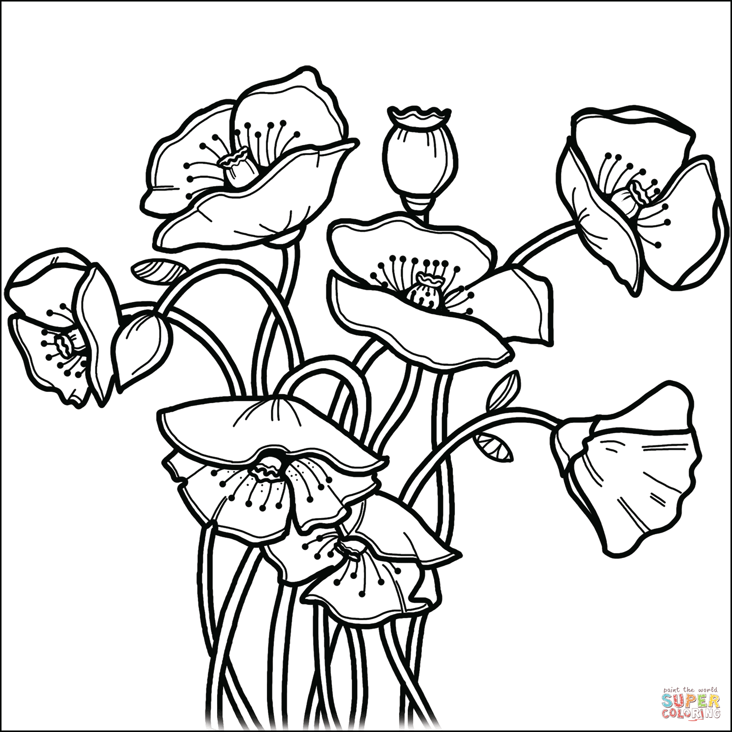 Poppies coloring page free printable coloring pages
