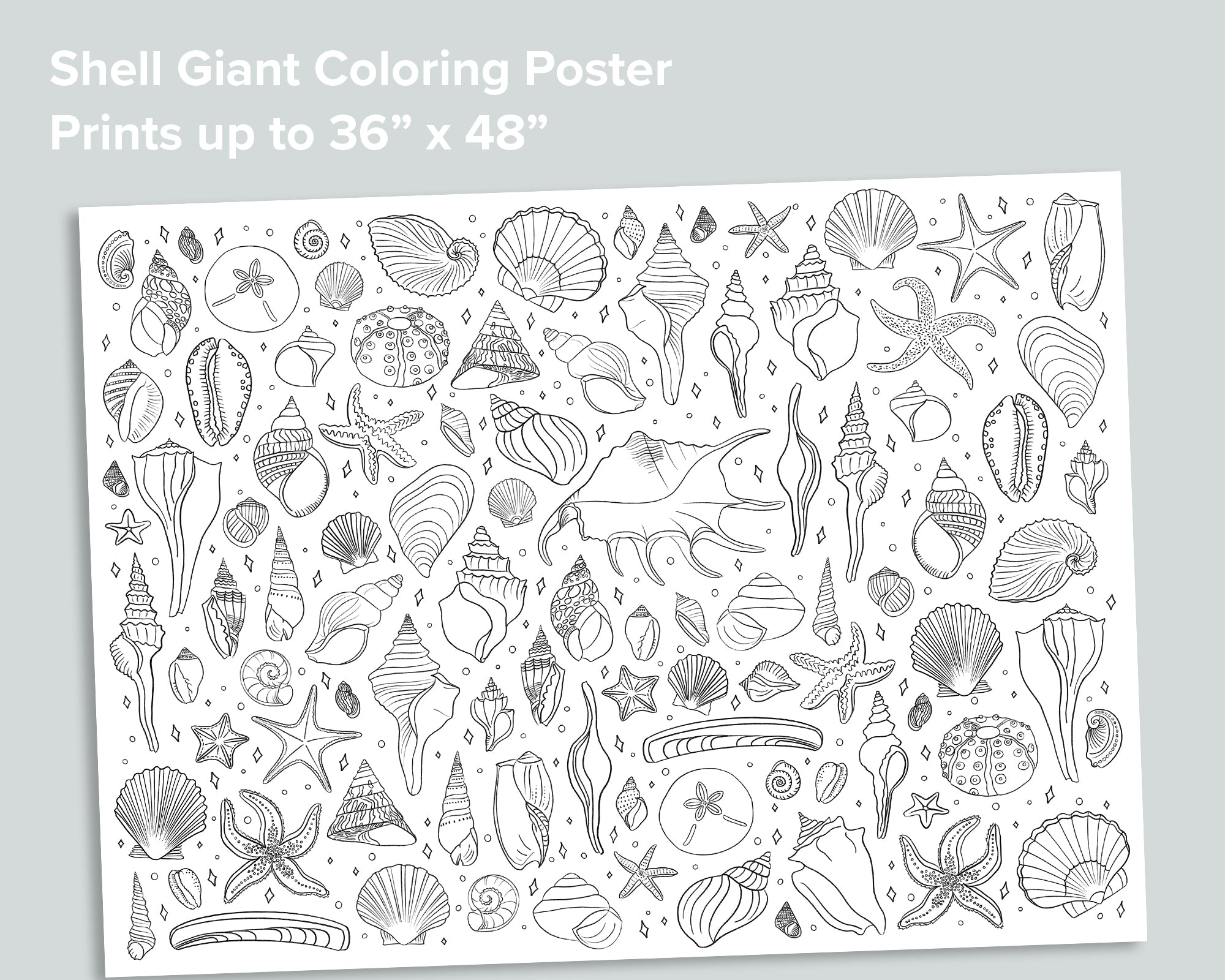 Shell giant coloring poster â mornings together