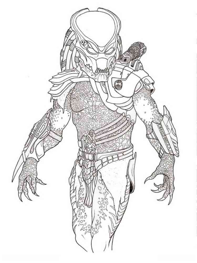 Predator coloring pages