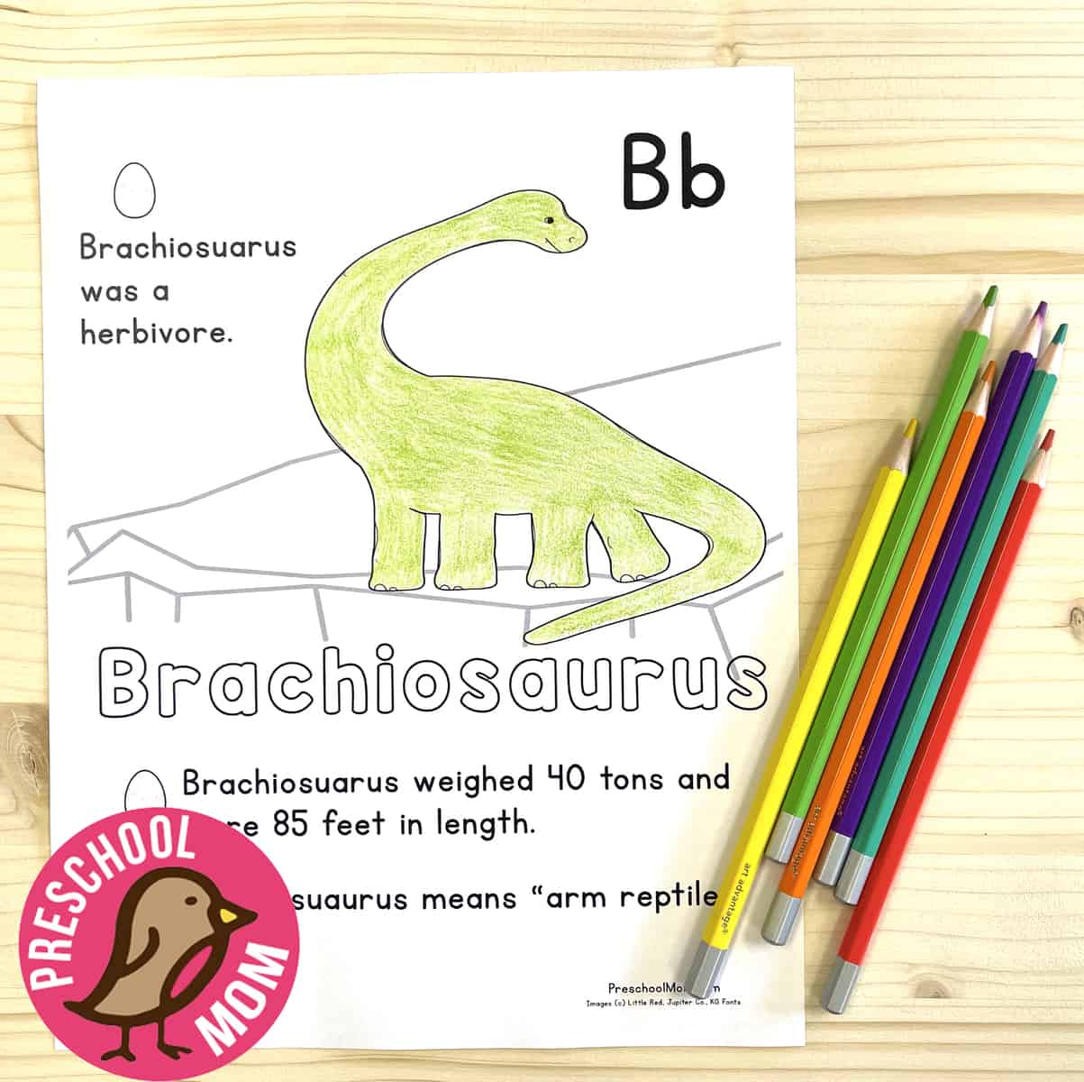 Dinosaur coloring pages