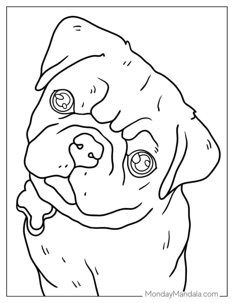Pug coloring pages free pdf printables