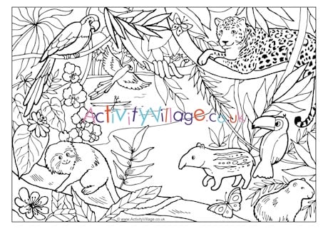 Rainforest louring page