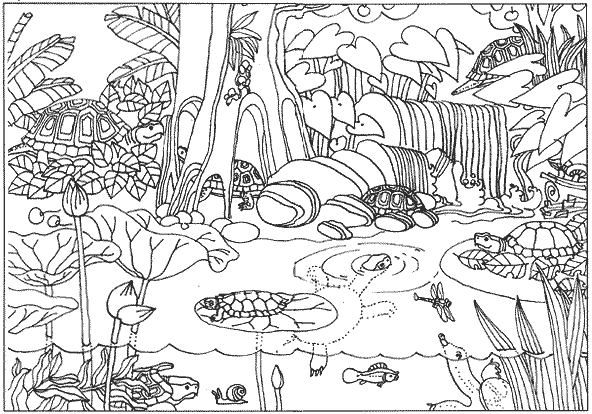 Amazon rainforest coloring pages brazil jungle coloring pages zoo animal coloring pages coloring pages