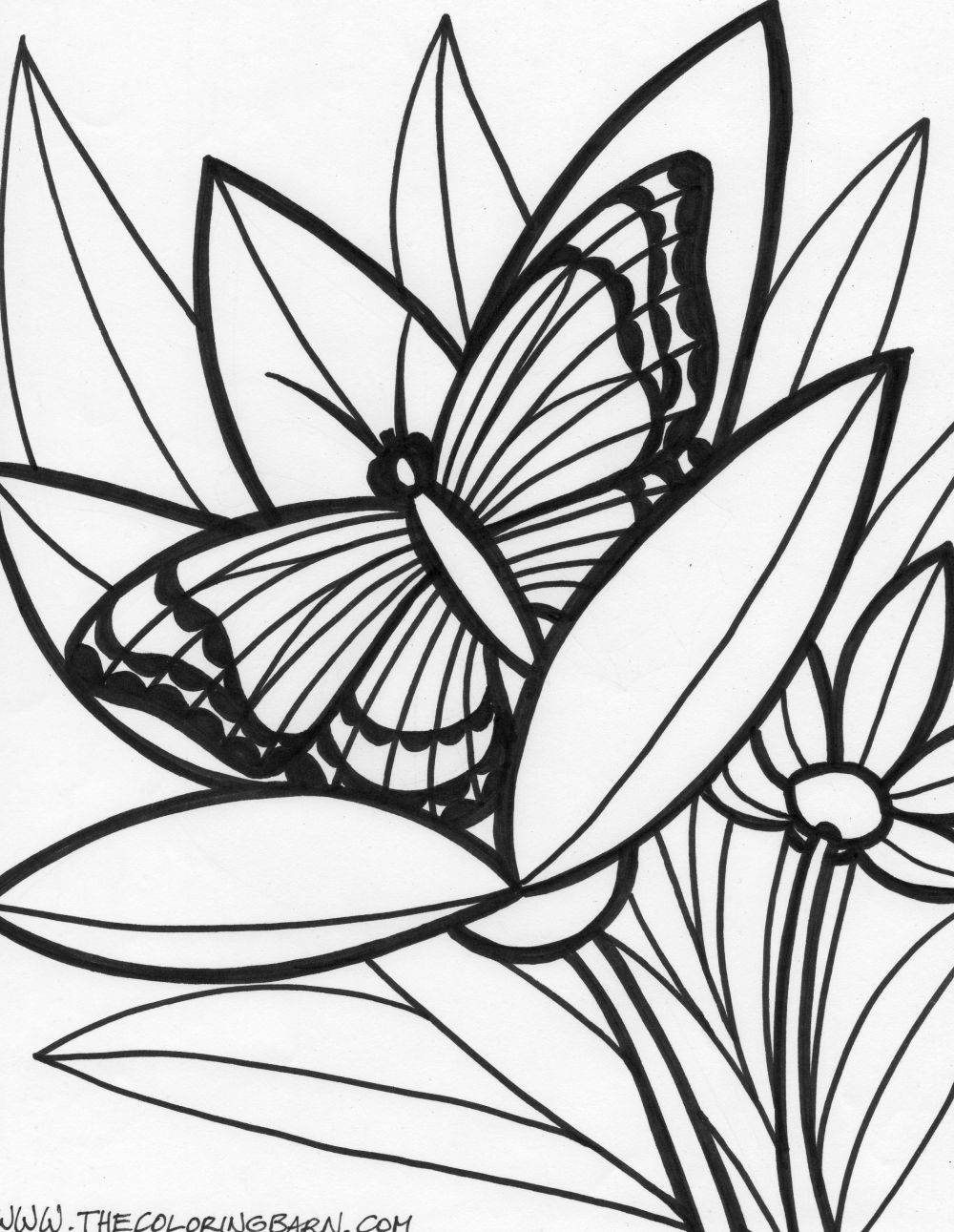 Rainforest coloring pages