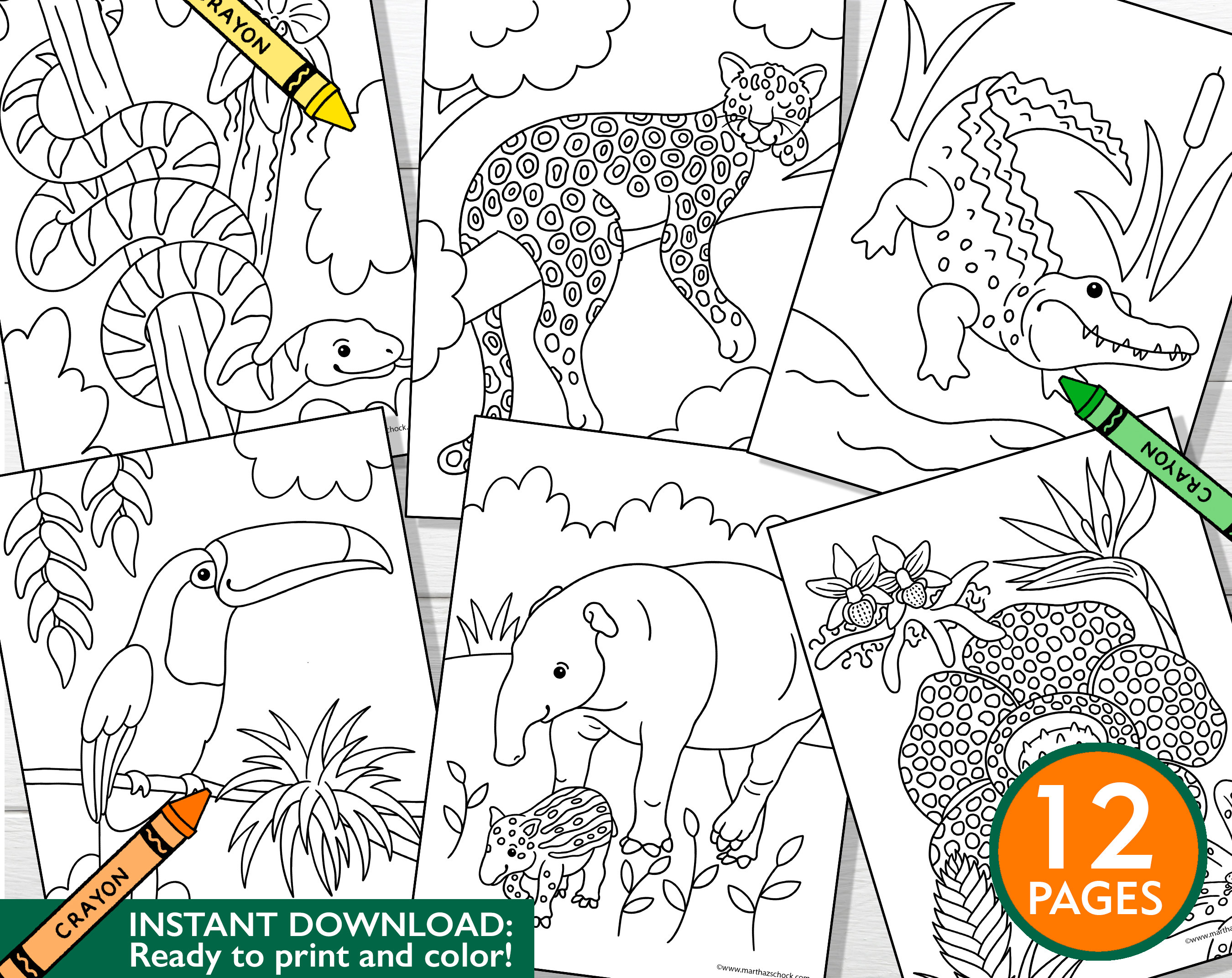 Rainforest coloring pages rainforest coloring sheets kids rainforest coloring pages kids rainforest coloring book rainforest printables
