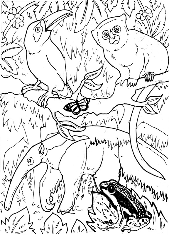 Rainforest coloring pages