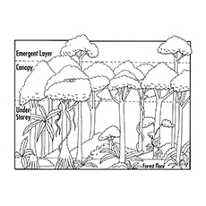 Printable nature coloring pages for your little ones