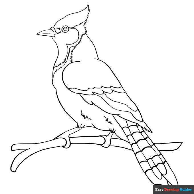 Free printable bird coloring pages for kids