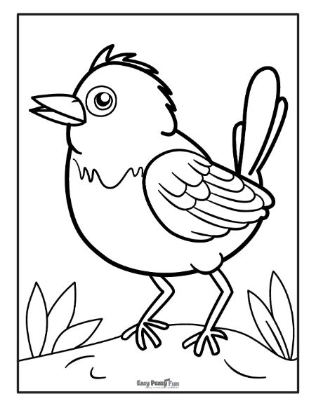 Printable bird coloring pages
