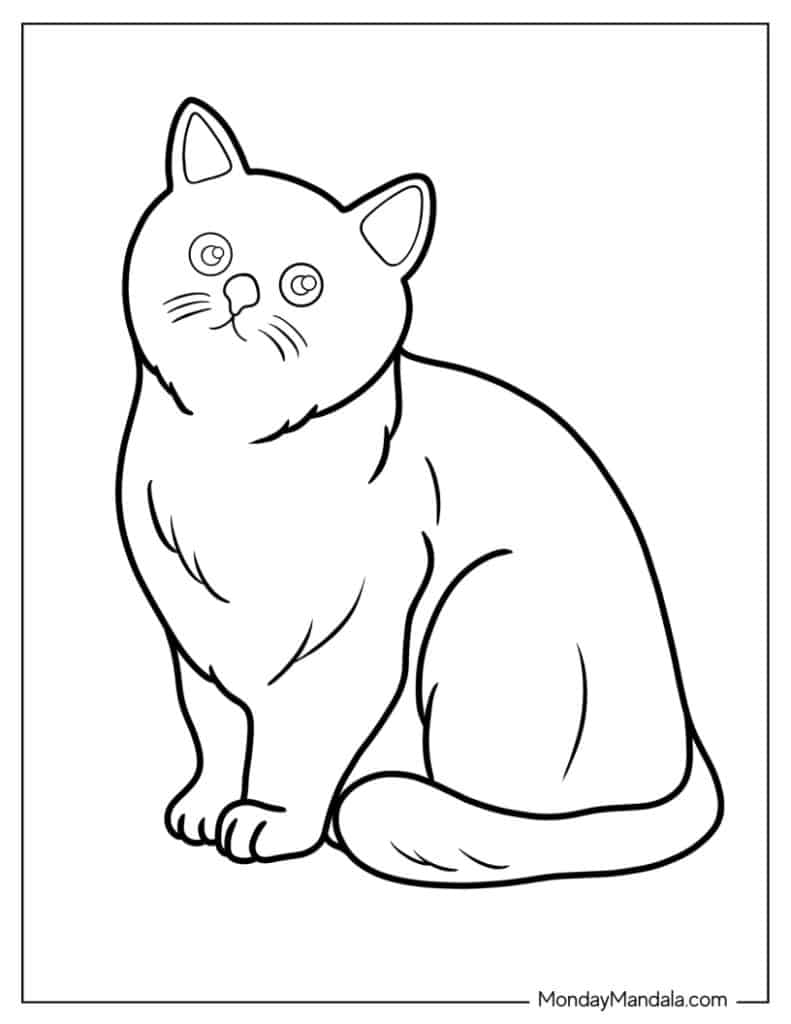 Cat coloring pages free pdf printables