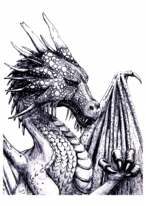 Dragons