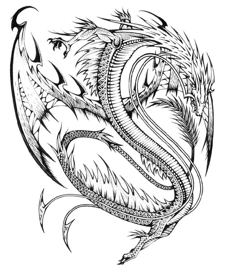Realistic dragon coloring pages k worksheets dragon coloring page coloring pages realistic dragon