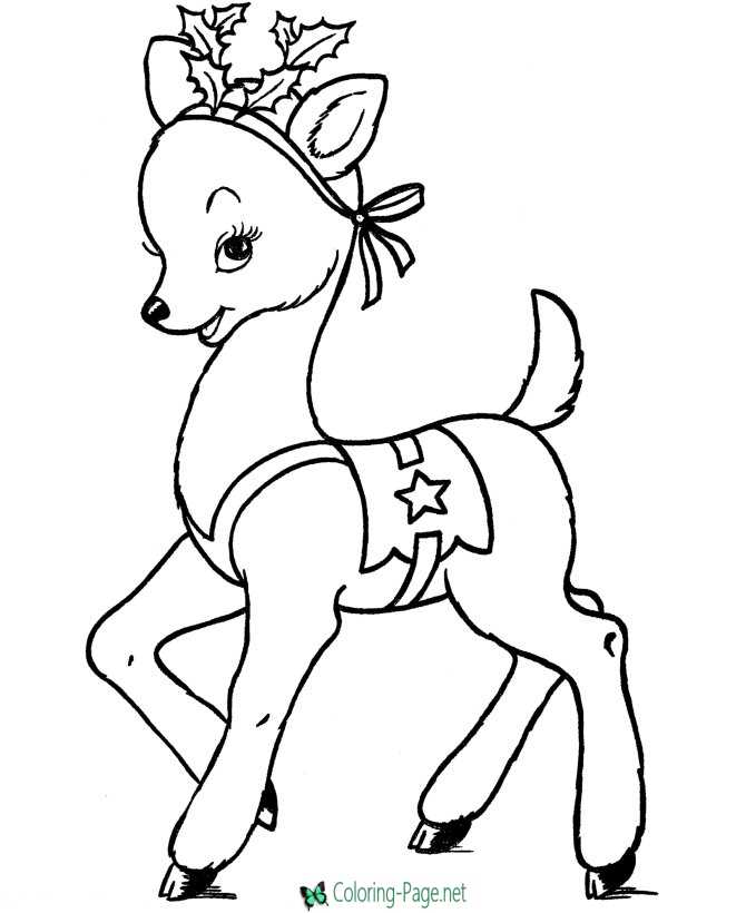 Reindeer coloring pages