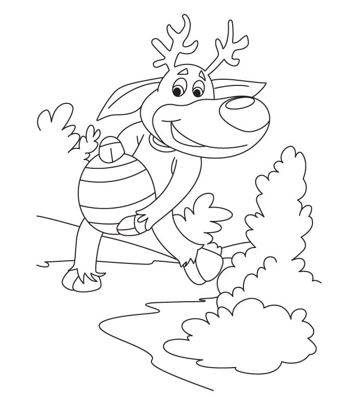 Reindeer